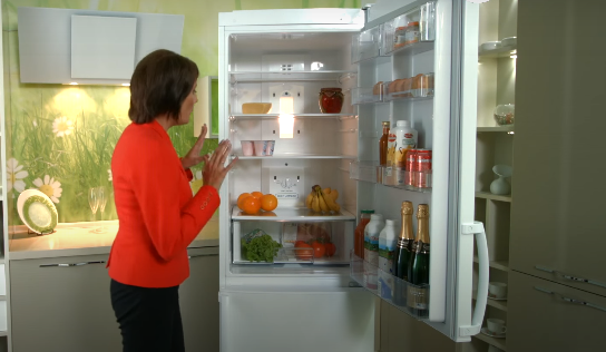 Ремонт холодильников в Кировском районе